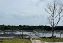 Ngeyel! Pengusaha Tambak Udang di Karimunjawa Jepara Ogah Tutup Meski Langgar Perda